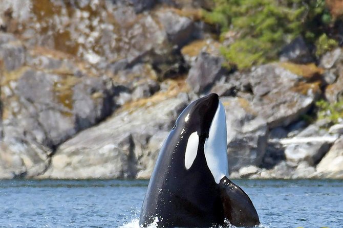 7 Hour Big Animal Encounter - Key points to know before you go