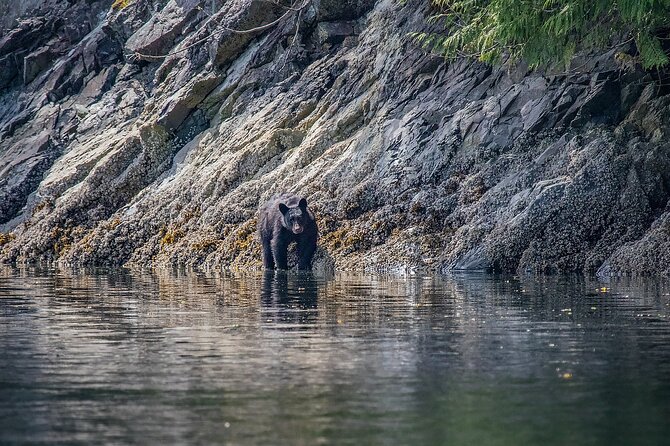 7 Hour Big Animal Encounter - Breaks, historical sites, and changing the pace