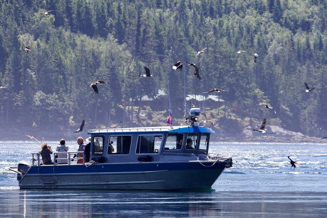 7 Hour Big Animal Encounter - Why Desolation Sound matters