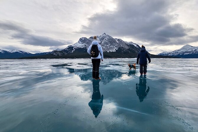 Abraham Ice Bubble/Sunwapta Falls,Snowshoeing,Icefield, Bow&Peyto - Winter alternatives when Abraham Lake is not possible