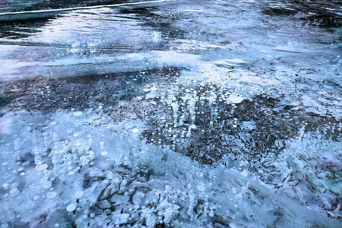 Abraham IceBubble, Peyto, Bow Lake with Snowshoeing& Icewalk - Guides make the difference on difficult days