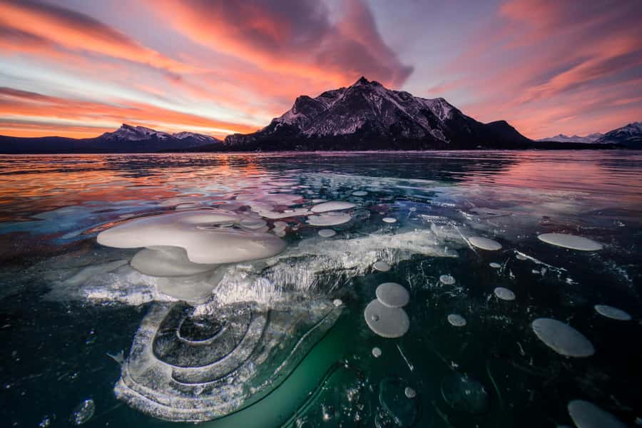 Abraham IceBubble/Sunwapta, Athabasca Falls, Peyto, Bow Lake - Key points to know before booking
