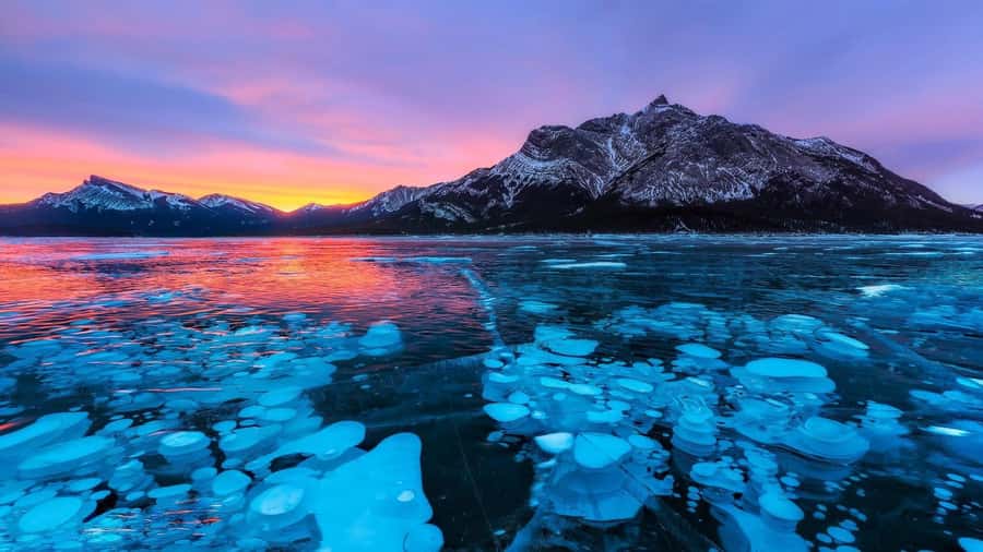 Abraham IceBubble/Sunwapta, Athabasca Falls, Peyto, Bow Lake - Abraham Lake and the famous frozen bubbles