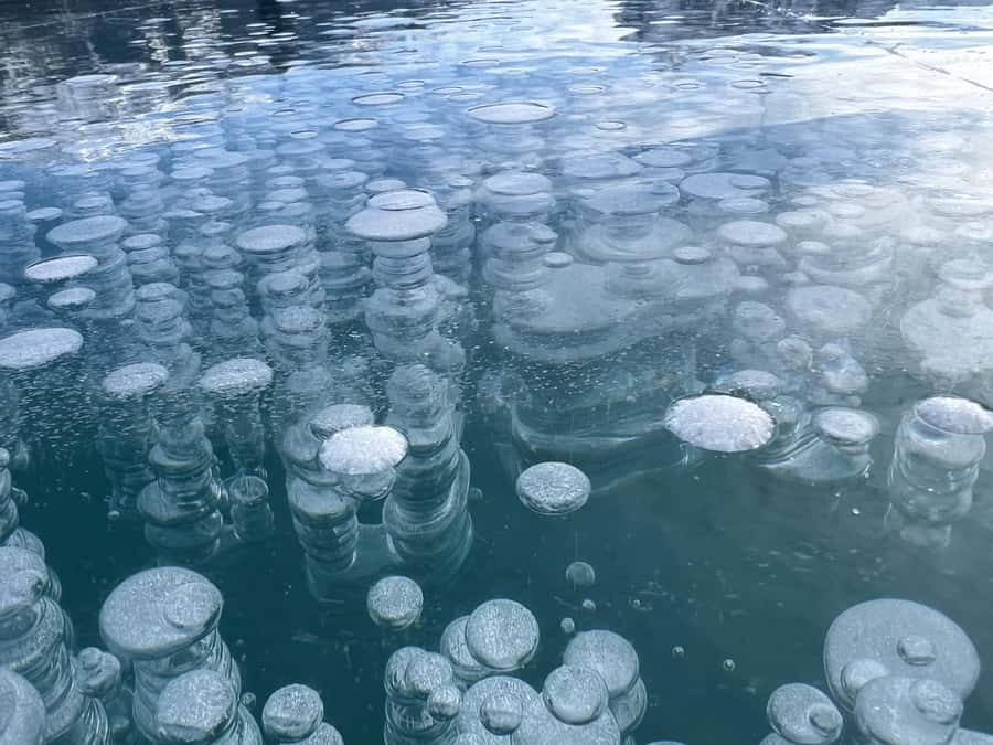 Abraham IceBubble/Sunwapta, Athabasca Falls, Peyto, Bow Lake - Food, clothing, and comfort on the road