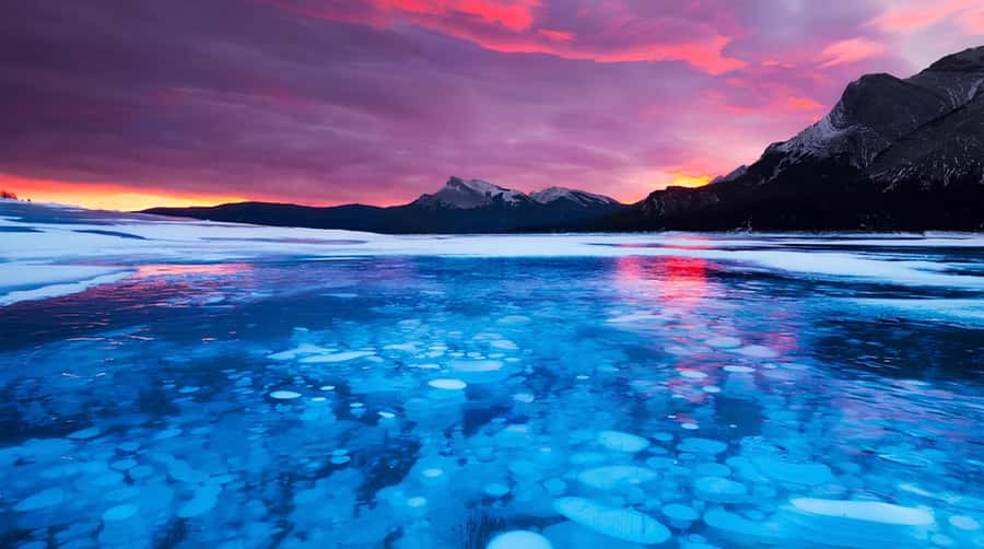 Abraham IceBubble/Sunwapta Falls, Snowshoeing Bow & Peyto - Peyto Lake: the essential viewpoint