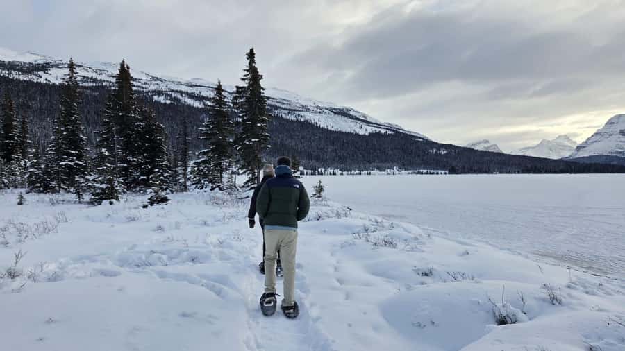 Abraham IceBubble/Sunwapta Falls, Snowshoeing Bow & Peyto - Icefields Parkway views between the lakes