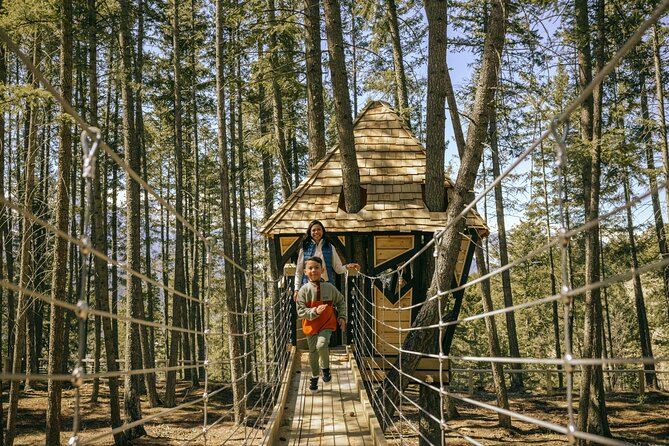 Admission Ticket to Golden Skybridge - Treetop Village Play Park for younger visitors