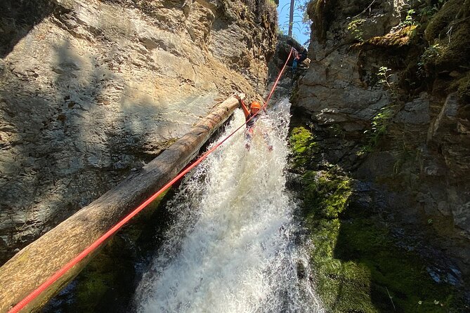 Adrenaline Canyoning Kelowna - Is $162.56 a fair price?
