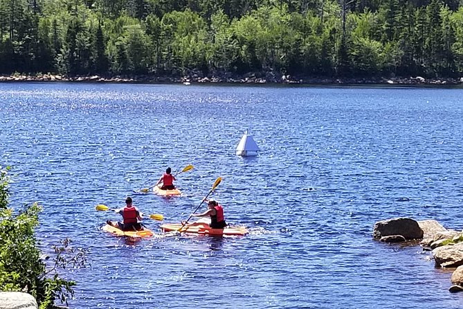 Adult Single Kayak Rental - Key points before you paddle