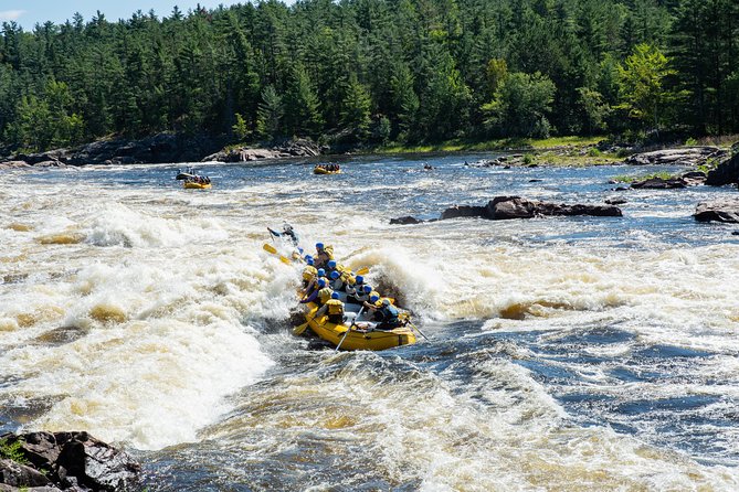 Adventure Rafting on the Ottawa River - Key points to know before you book