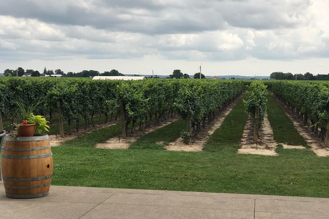 Afternoon Wine, Beer and Charcuterie Tour in Niagara-on-the-Lake - Why this half-day tour works well