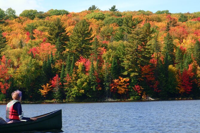 Algonquin Park 3-Day Deluxe Camping & Canoeing Adventure - Key things to know before paddling away