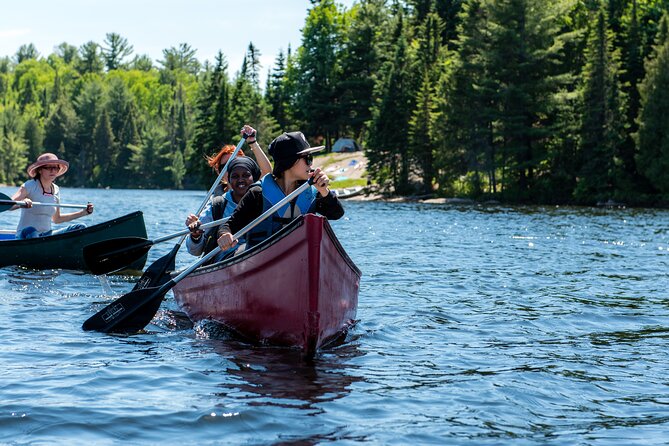 Algonquin Park 3-Day Deluxe Camping & Canoeing Adventure - Day two afternoon: cliffs, sauna, swimming, and barbecue