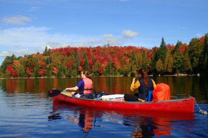 Algonquin Park 4-Day Deluxe Camping & Canoeing Adventure - What makes this Algonquin trip different
