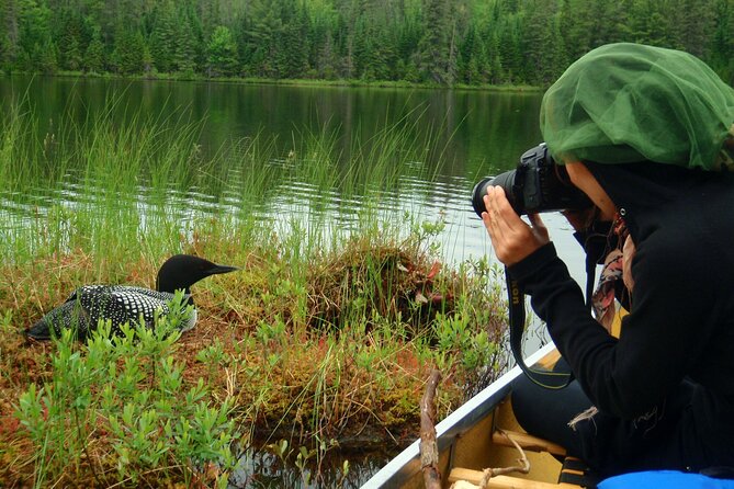 Algonquin Park 4-Day Deluxe Camping & Canoeing Adventure - How deluxe is the camping?