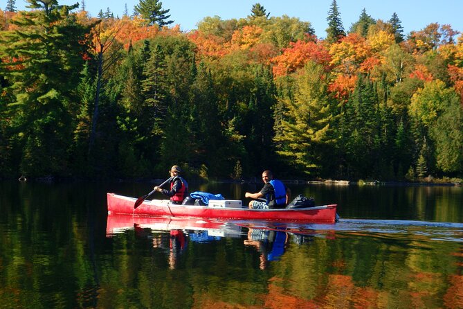 Algonquin Park 4-Day Deluxe Camping & Canoeing Adventure - Day two: beaver country and a very good camp feast