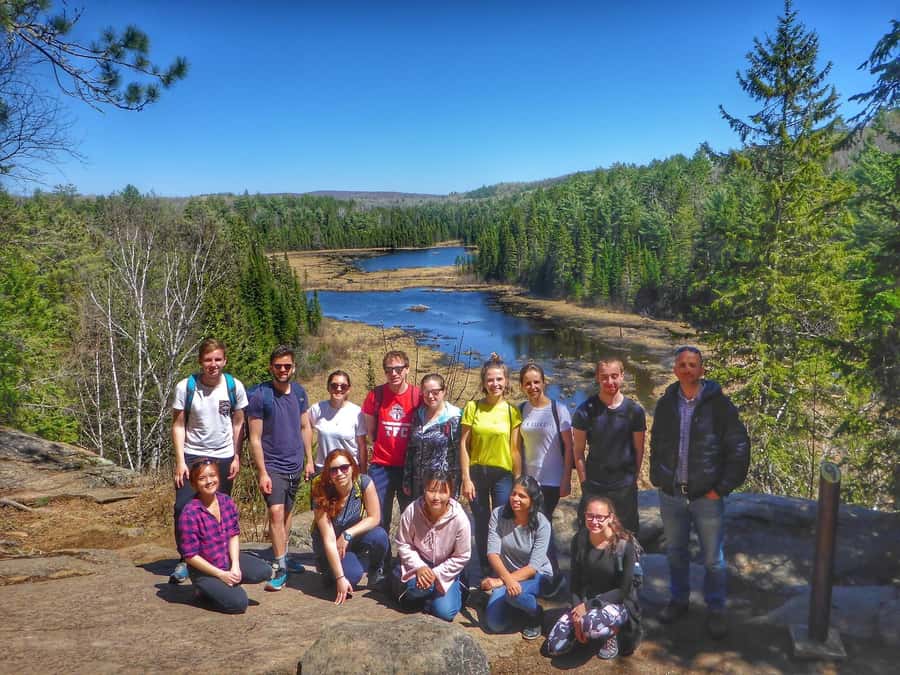 Algonquin Park: Adventure Tour from Toronto - Wildlife across four seasons