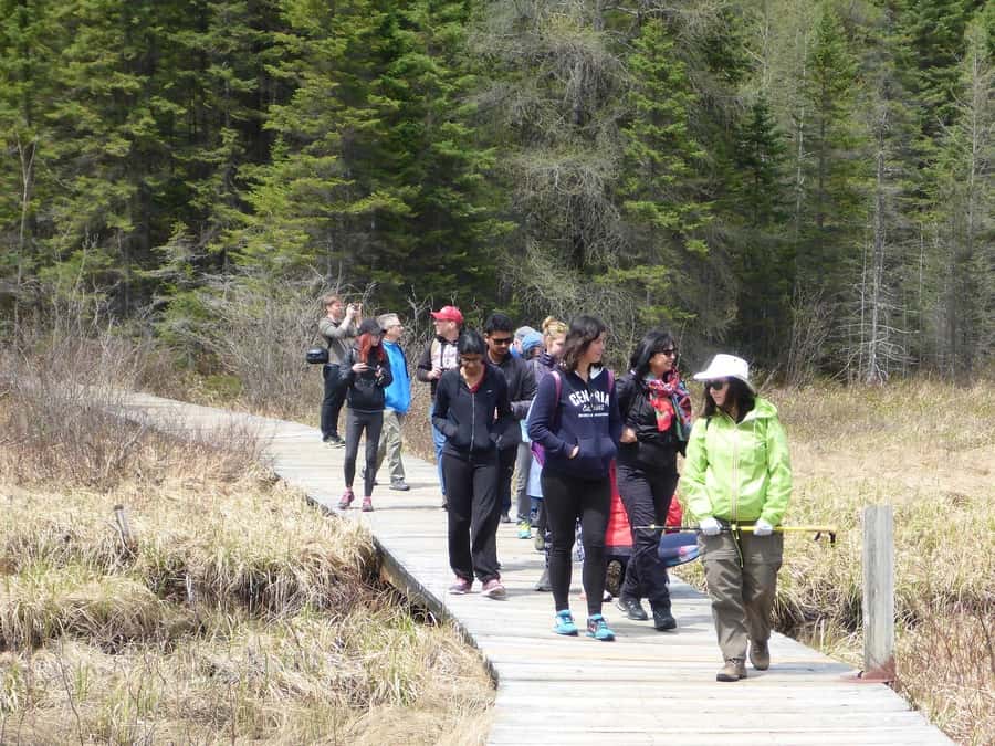 Algonquin Park: Adventure Tour from Toronto - Who should book this Algonquin day trip?