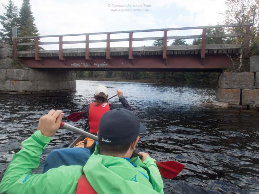 Algonquin Park: Canoe Camping Safari - Who will enjoy this safari most?