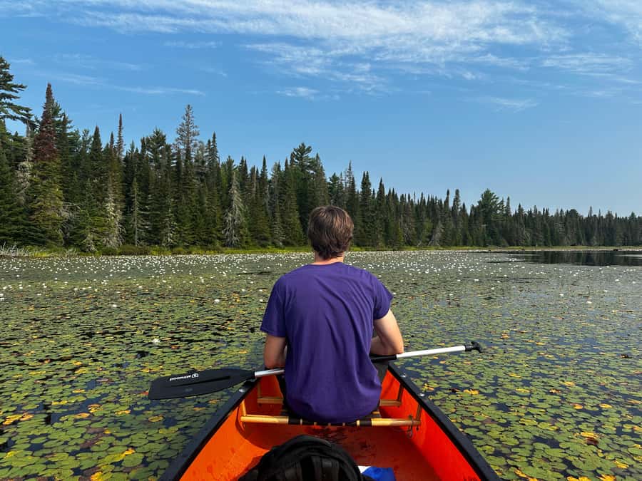 Algonquin Park: Deluxe 4-Day/3-night Canoeing/Camping - Who Will Enjoy This Most?