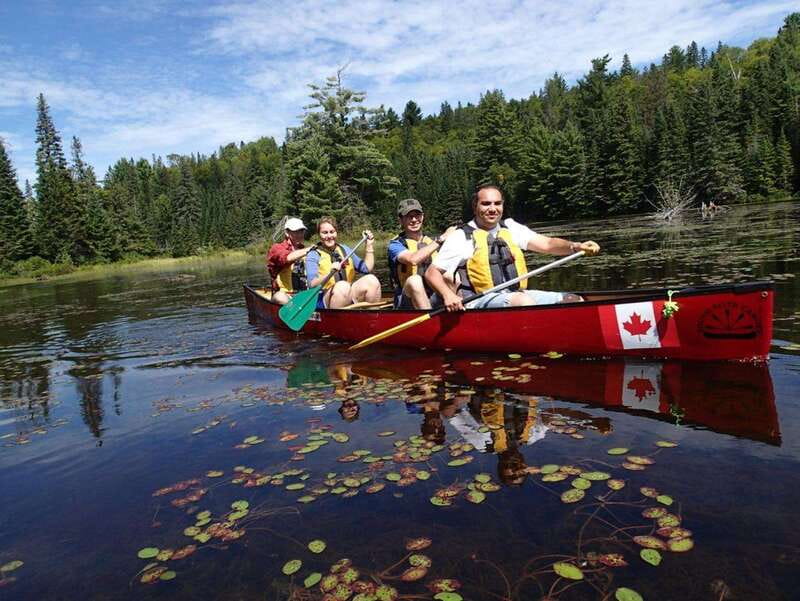 Algonquin Park: Guided Canoe Day Tour - Key Points to Know