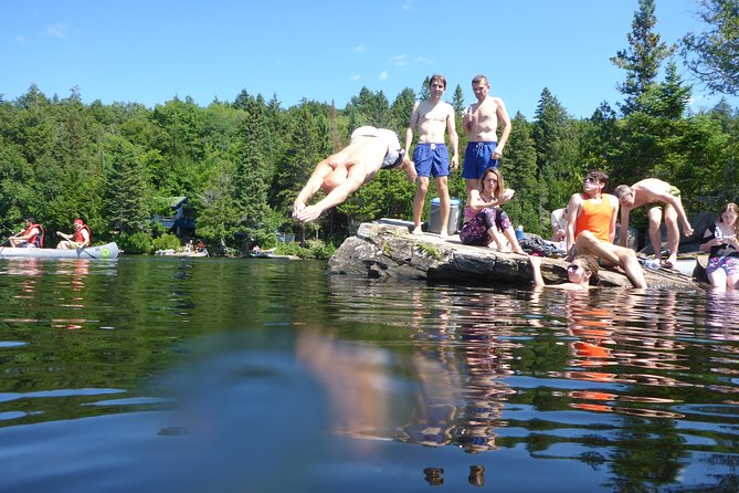 Algonquin Provincial Park Day Tour from Toronto - Key points to know before you book