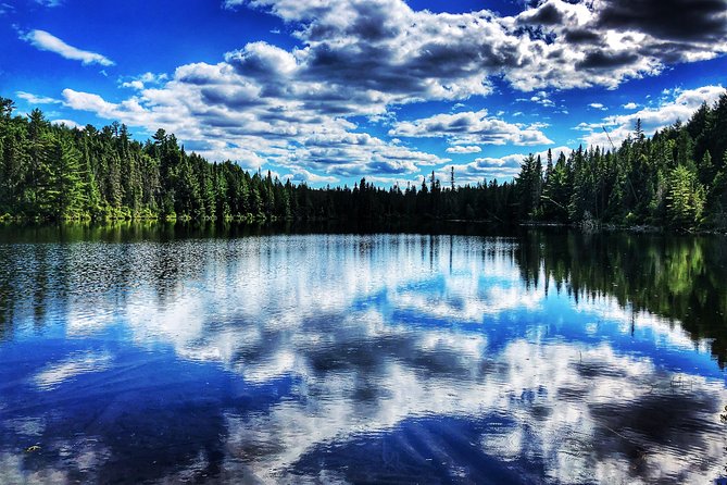 Algonquin Provincial Park Day Tour from Toronto - Ragged Falls and the Oxtongue River