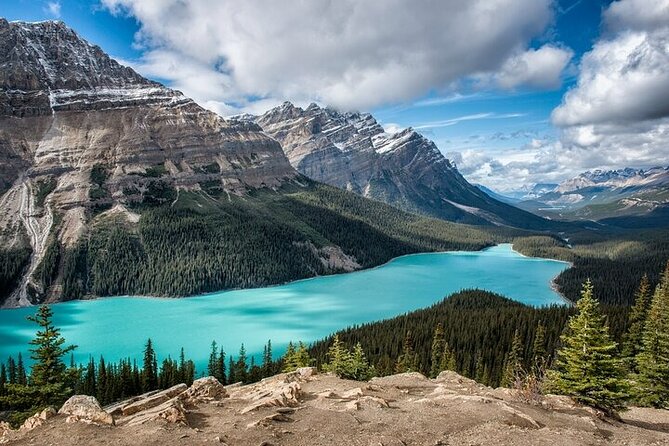 Along Icefields Parkway: Peyto Lake, Bow Lake & Columbia Icefield - What You Need to Know Before Booking