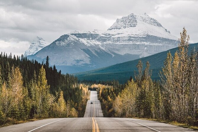 Along Icefields Parkway: Peyto Lake, Bow Lake & Columbia Icefield - Peyto Lake and the Bow Summit Viewpoint