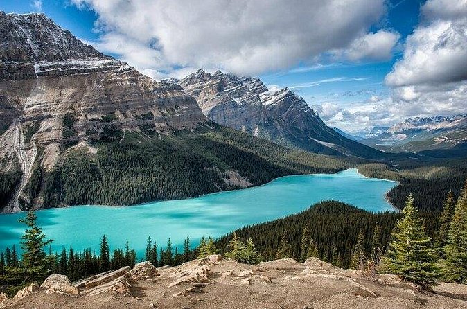 Along Icefields Parkway: Peyto Lake, Bow Lake & Columbia Icefield - Columbia Icefield: The Costly Optional Highlight