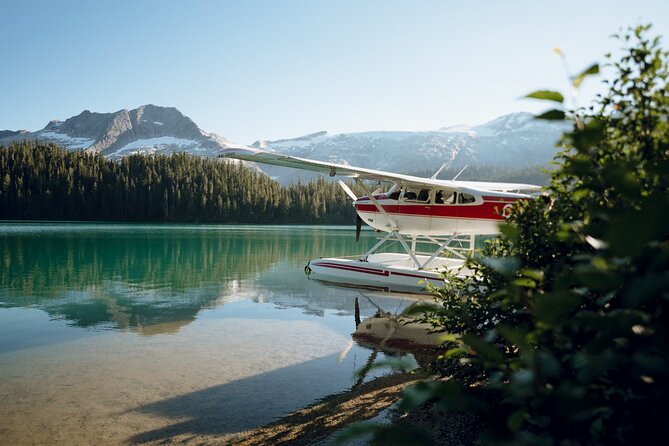 Alpine Lake Flightseeing Experience from Squamish - Key details before you book