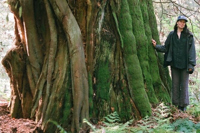 Ancient Trees of Vancouver Walking Tour - Colin Spratt’s way of telling the story