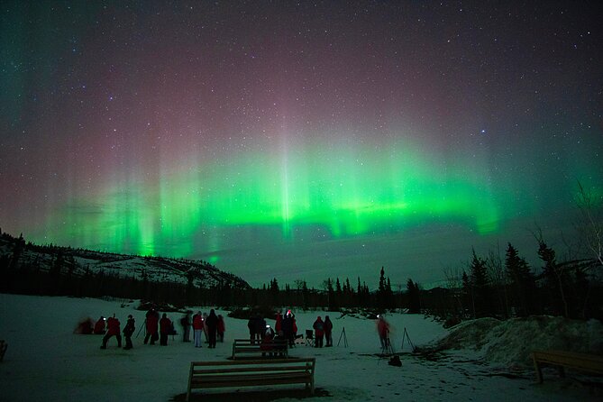 Arctic Day: Aurora Viewing Tour | late night - Weather and aurora odds: the hard truth
