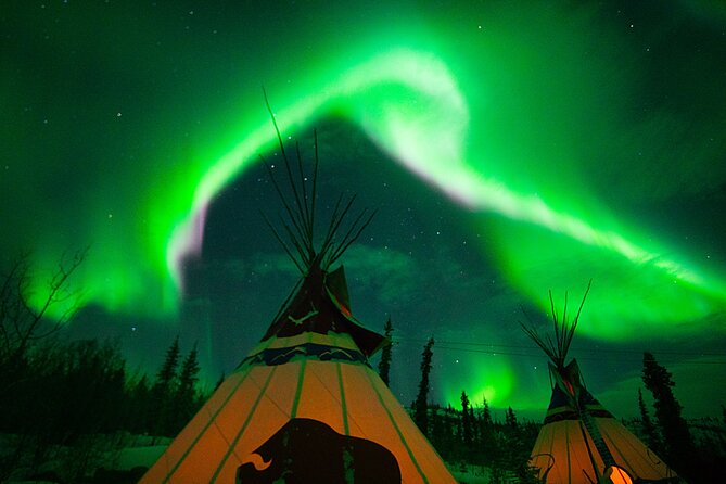 Arctic Day: Aurora Viewing Tour | late night - Is $125.39 a fair price?