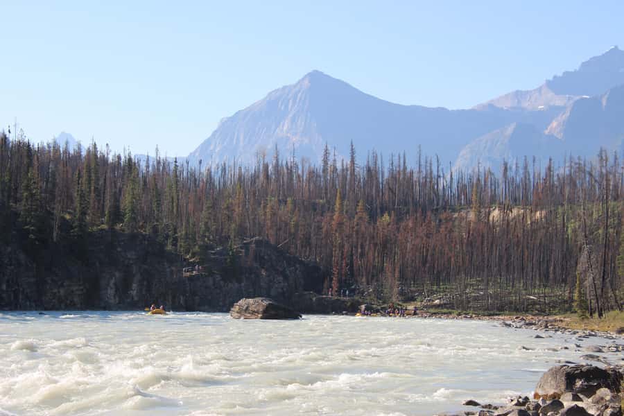 Athabasca Falls: Class 2 White Water Rafting Adventure - Who should book this Class 2 rafting trip?