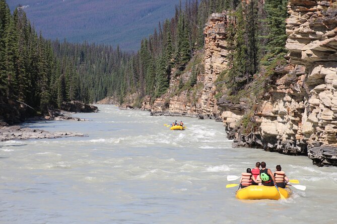 Athabasca Falls Run - Who should book the Athabasca Falls Run?