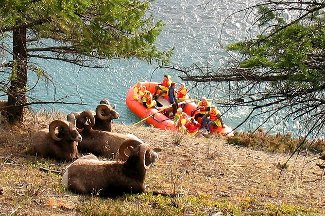 Athabasca River Easy Scenic Raft Trip - The river route: calm water, small rapids, and six miles of scenery