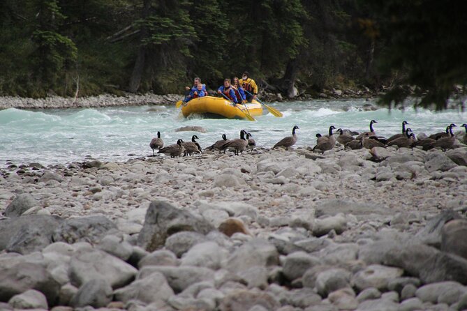 Athabasca River Mile 5 - Stop 2: A short run through Athabasca Valley