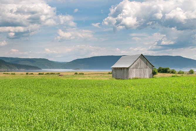 Back Country of the Fjord and the National Park - What the $134.44 price delivers