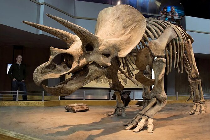 Badlands Tour: Drumheller with Museum, Hoodoos & Dinosaurs - The coal-mining story has changed