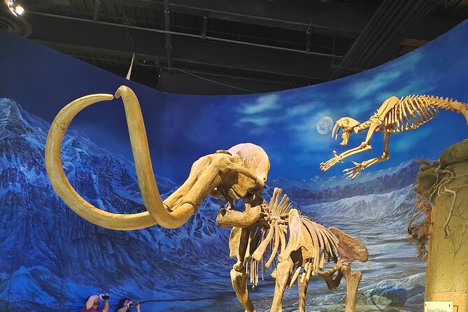 Badlands Tour: Drumheller with Museum, Hoodoos & Dinosaurs - Star Mine Suspension Bridge and the route through Wayne