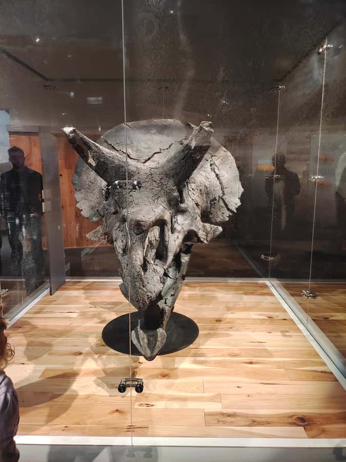 Badlands Tour: Drumheller with Museum, Hoodoos & Dinosaurs - Hoodoos Trail brings the Badlands close