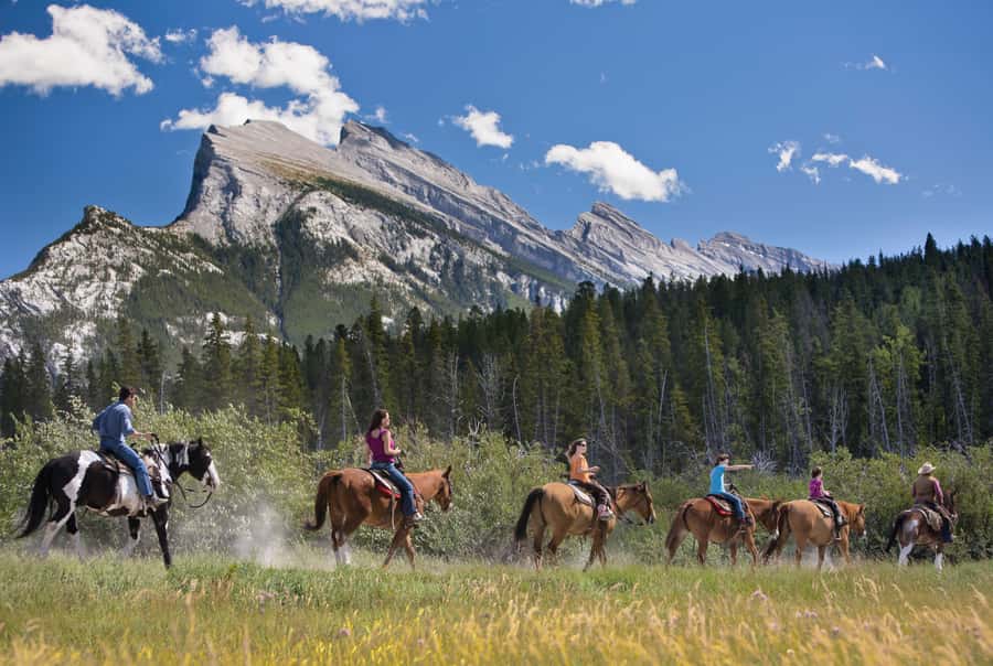Banff: 3-Hour Bow Valley Loop Horseback Ride - What Three Hours in the Saddle Really Means
