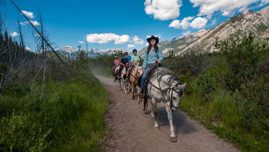 Banff: 3-Hour Bow Valley Loop Horseback Ride - Into the Woods on Sundance Canyon Trail