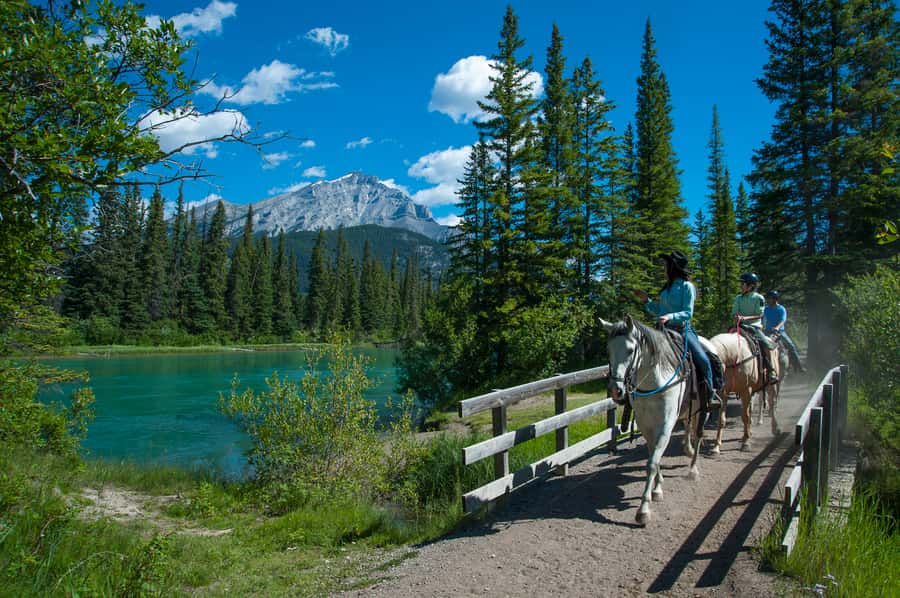 Banff: 3-Hour Bow Valley Loop Horseback Ride - How the Small Group Changes the Experience