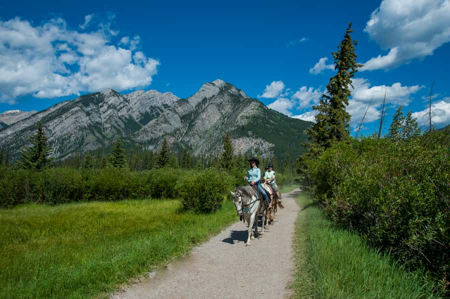 Banff: 3-Hour Bow Valley Loop Horseback Ride - Is $208 a Fair Price?
