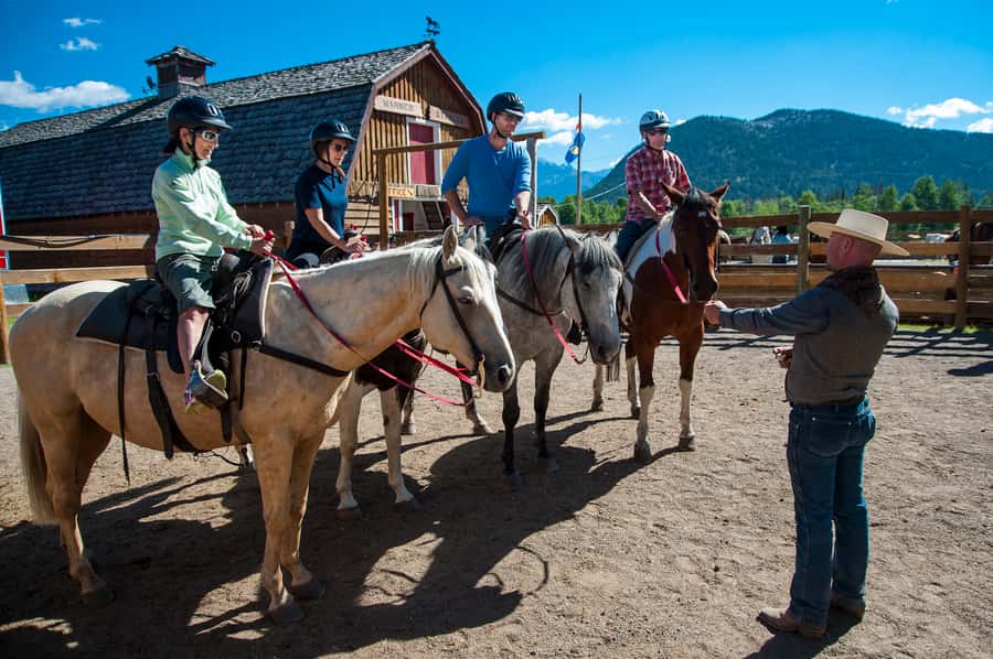 Banff: 3-Hour Bow Valley Loop Horseback Ride - Should You Book the Bow Valley Loop Ride?