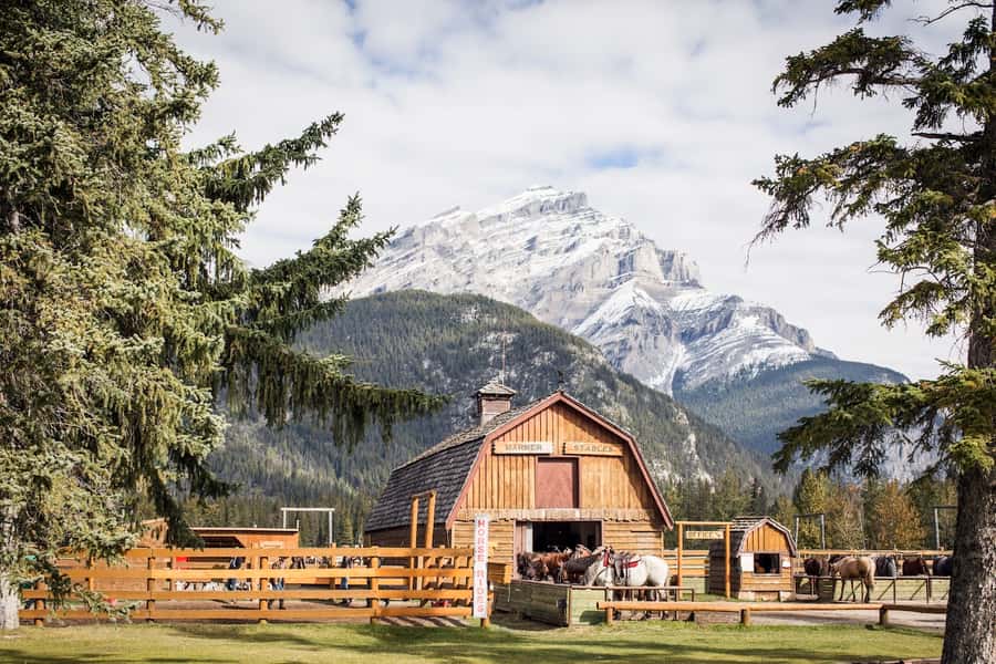 Banff: 3-Hour Bow Valley Loop Horseback Ride - Following the Bow River Toward Cave and Basin