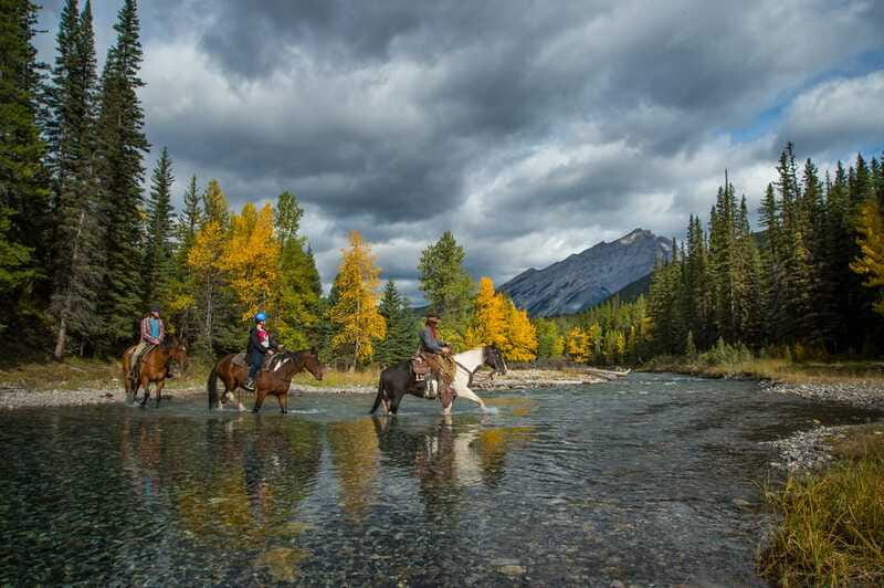 Banff: 4-Hour Sulphur Mountain Intermediate Horseback Ride - Reaching Bow Falls and crossing again