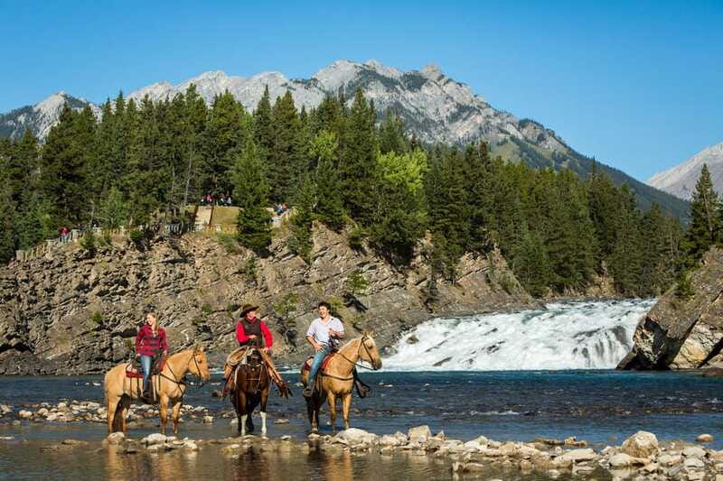 Banff: 4-Hour Sulphur Mountain Intermediate Horseback Ride - What the horses and guides add
